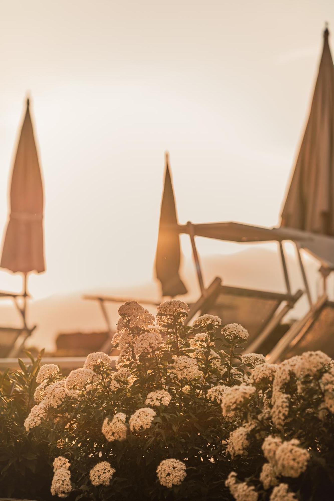 Cristallo Sport & Wellness Hotel Levico Terme Dış mekan fotoğraf